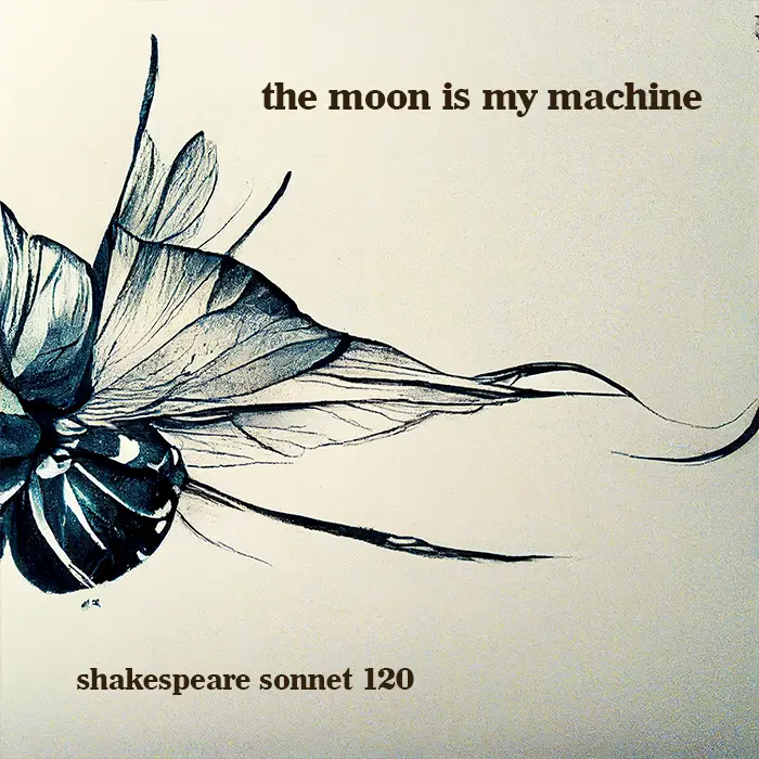 The Moon is My Machine - Shakespeare Sonnet 120