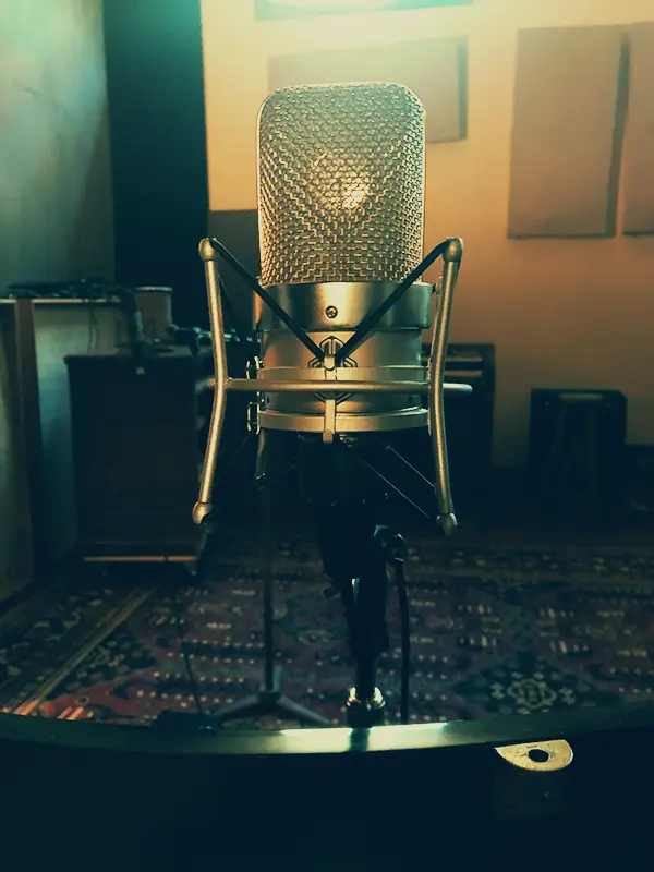 BeesNeez BM49 microphone at Aerial Recording Studio